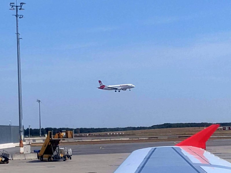 Vienna International (August 2022)