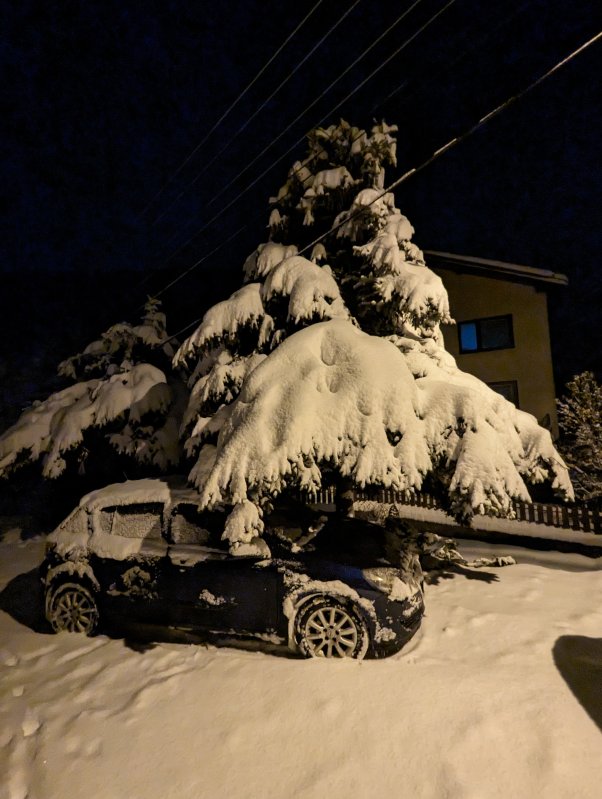 We went for a walk, just to enjoy the sound of fresh snow under our feet (February 2023)