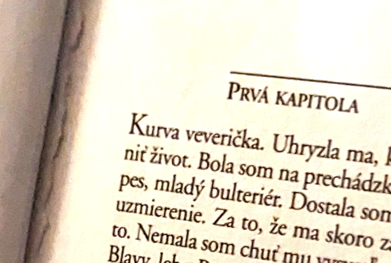 ...at least the first words (I am not going to translate "Kurva veverika.") (September 2023)