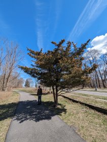 A walk in Nissequogue River State Park (March 2024)