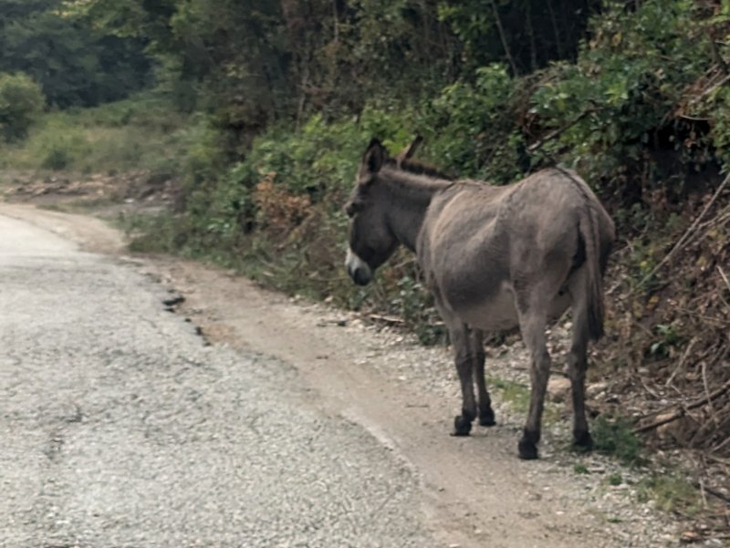 Main road from Montenegro to Sarajevo (August 2024)