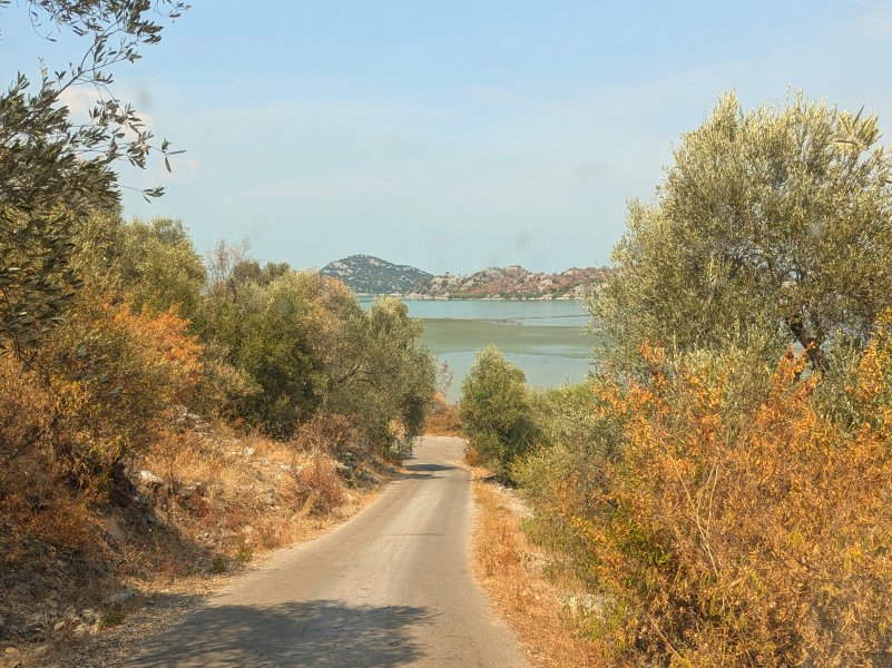 Narrow road to the lake (August 2024)