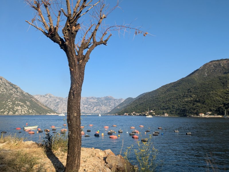 Montenegro - Kotor Bay (August 2024)