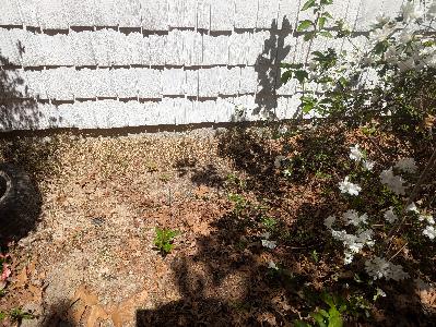Here will be egress window (April 2025) Here will be egress window (April 2025)