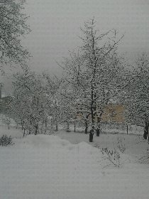 Winter and snow (December 2012)