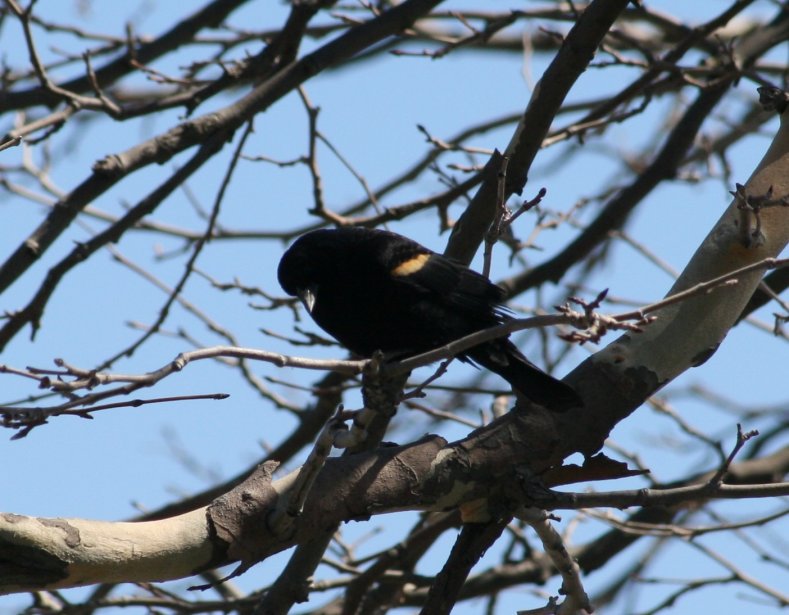 Liberty Park, New Jersey (Marec 2015)