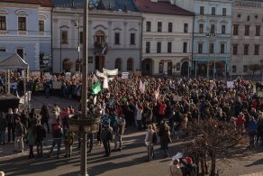 Teachers strike (January 2016)